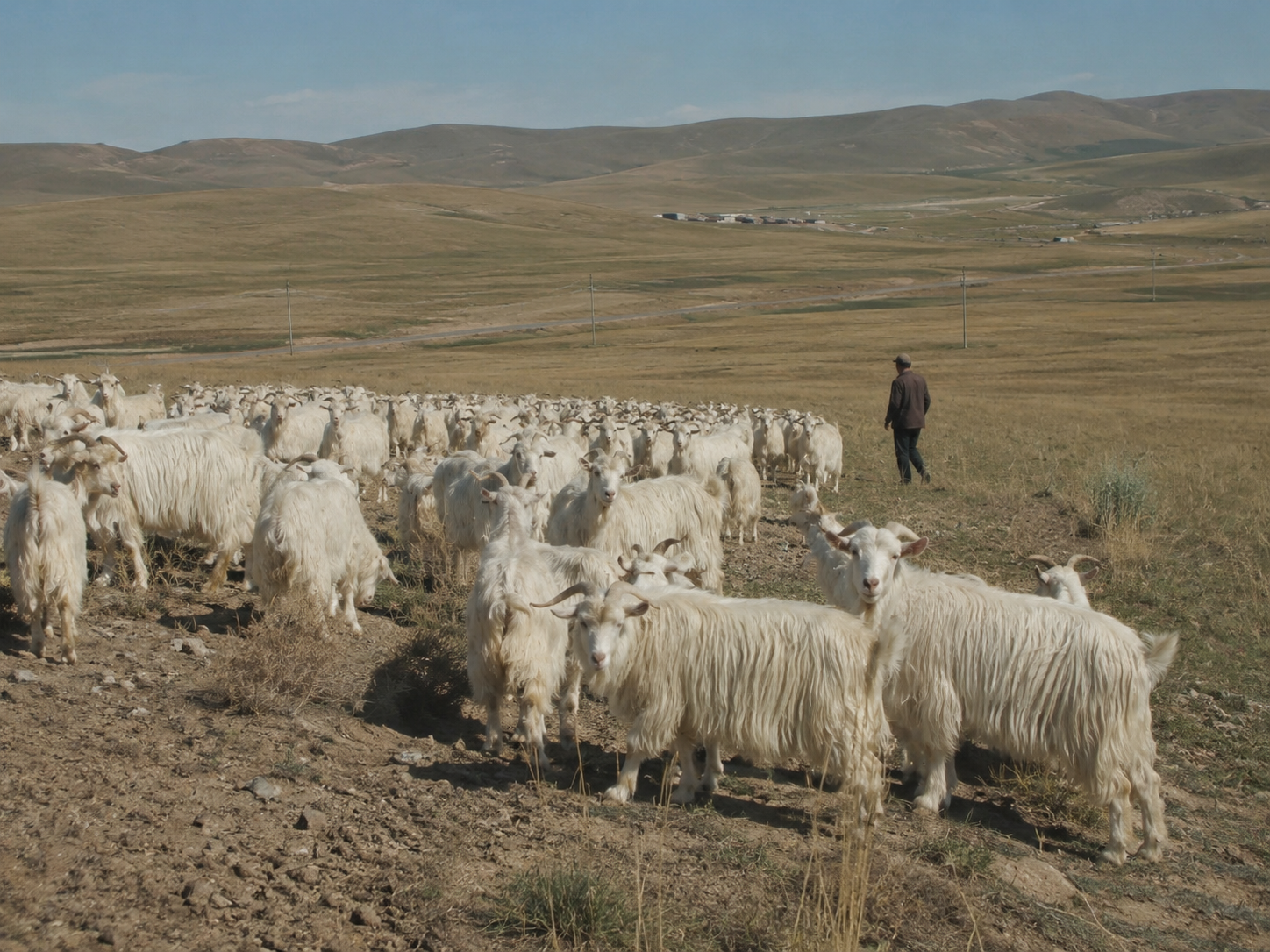 Rolling grassland hills like the Ordos plateau